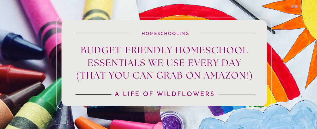Budget-Friendly Homeschool Essentials We Use Every Day (That You Can Grab on Amazon!)