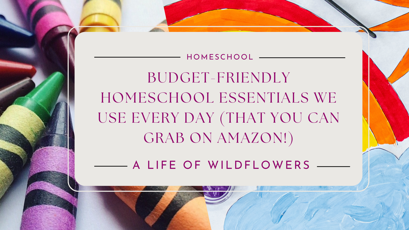Budget-Friendly Homeschool Essentials We Use Every Day (That You Can Grab on Amazon!)