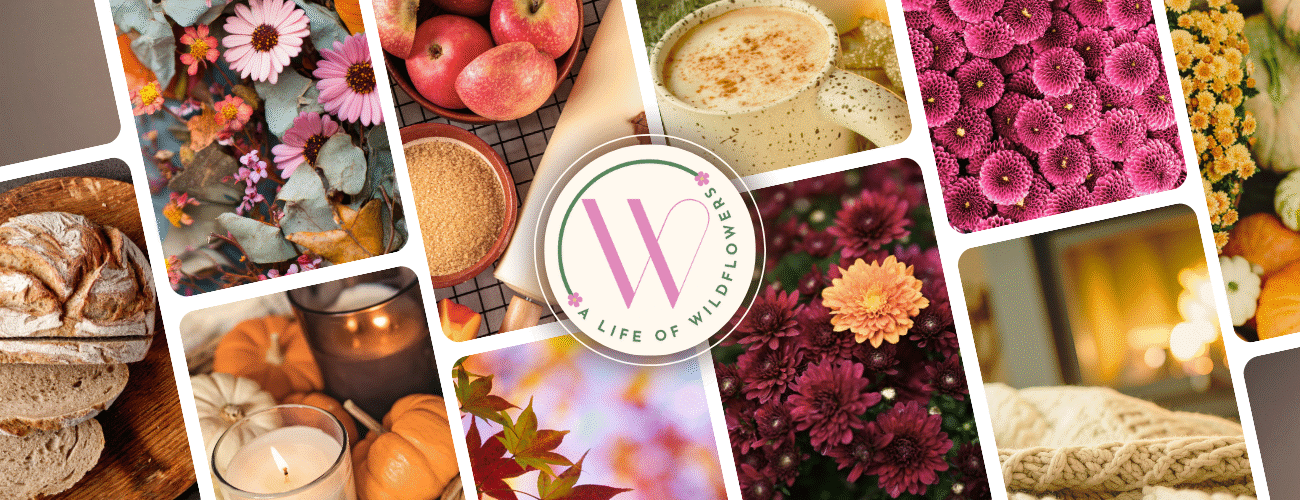 cropped-A-Life-of-Wildflowers-Fall-Header.png https://alifeofwildflowers.com/wp-content/uploads/2025/11/cropped-A-Life-of-Wildflowers-Fall-Header.png