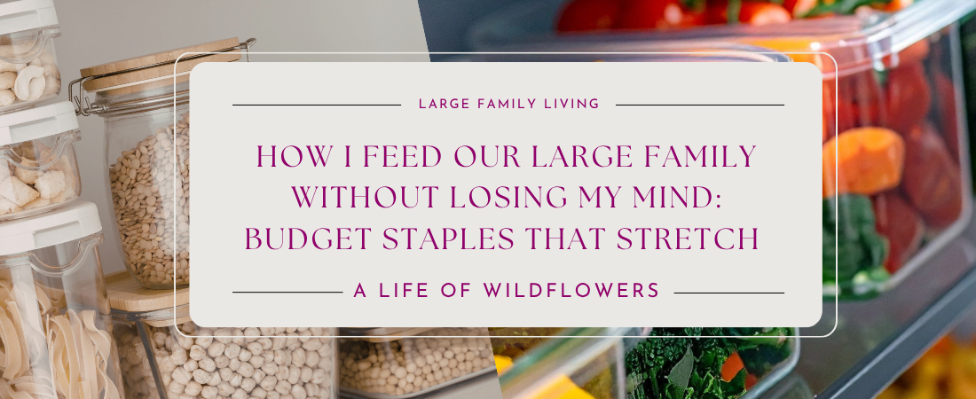 How I Feed Our Large Family Without Losing My Mind: Budget Staples That Stretch